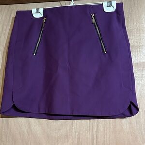 Zara Purple Skirt with Zipper Accents